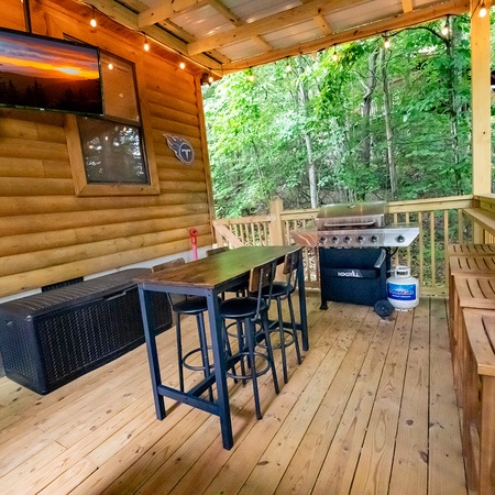 Bearman's Cabin