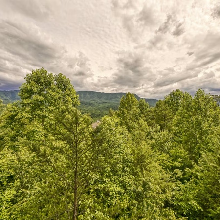 Mountain Song