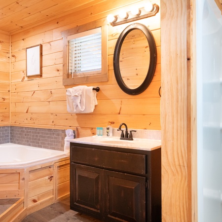 Cabin In The Mountains