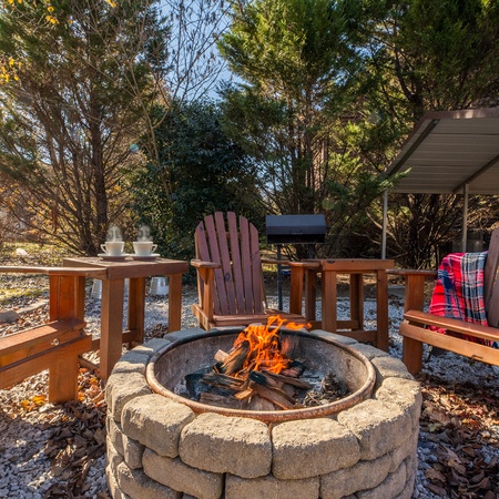 Cozy Bear Cove 2