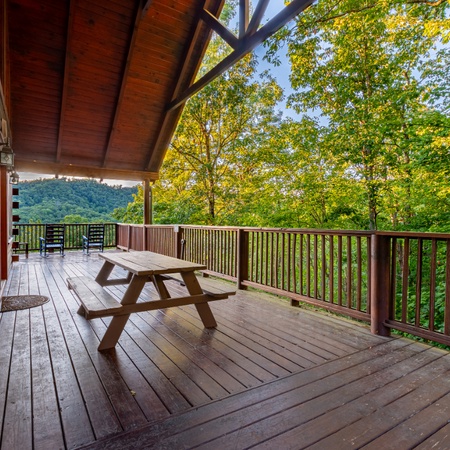 Sweet Bear Hideaway