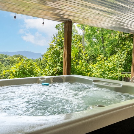 Laurel Mountain Lodge
