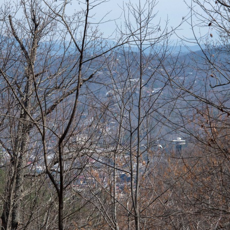 Bear View Chalet