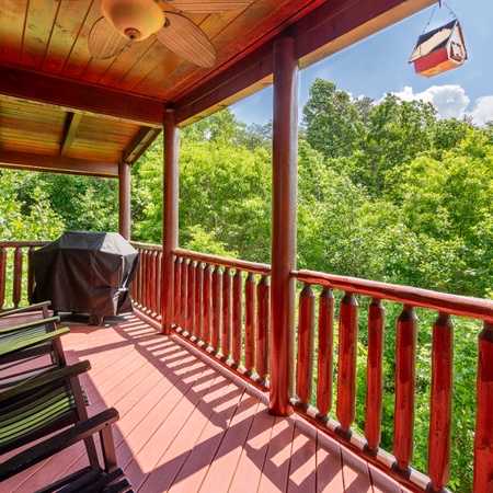 Bear Essentials Lodge