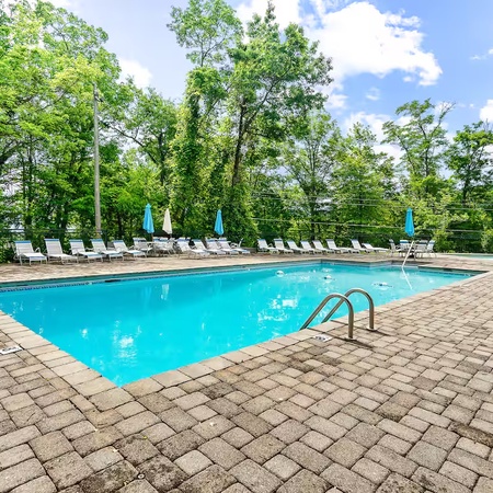 Honey Bear Lodge