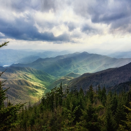 Mountain Vibes