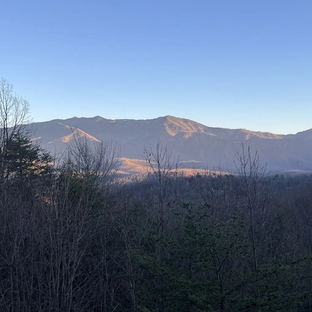 Mountain View Paradise