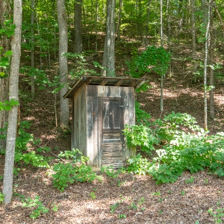 Wildlife Cove