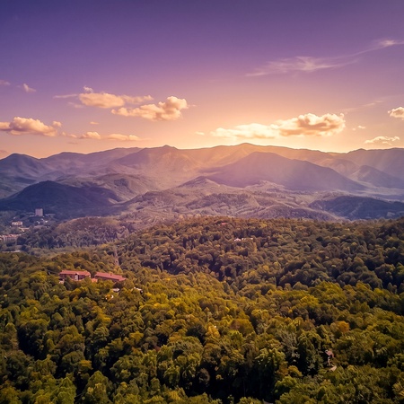 Mountain View Paradise