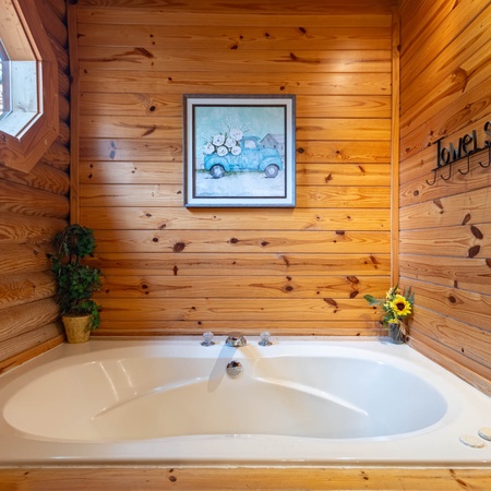 Pigeon Forge Perch