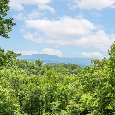 Laurel Mountain Lodge