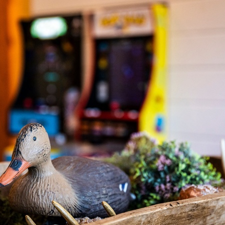 Duck Duck Moose