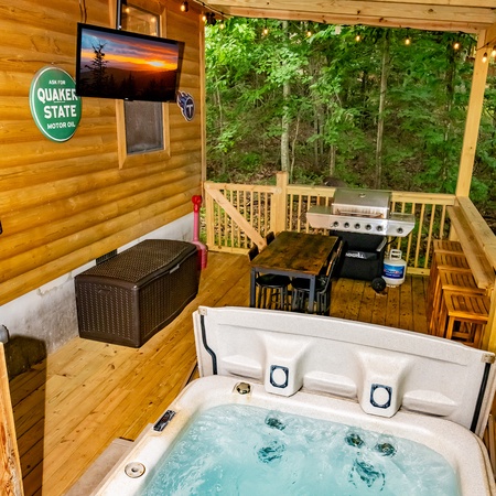 Bearman's Cabin