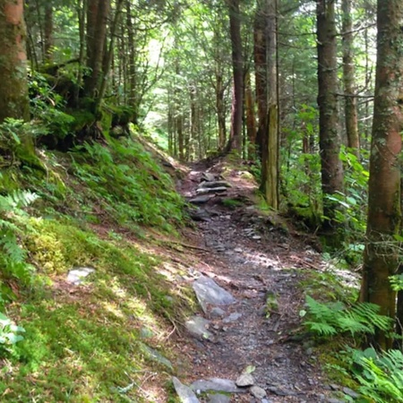 Cozy Bear Cove