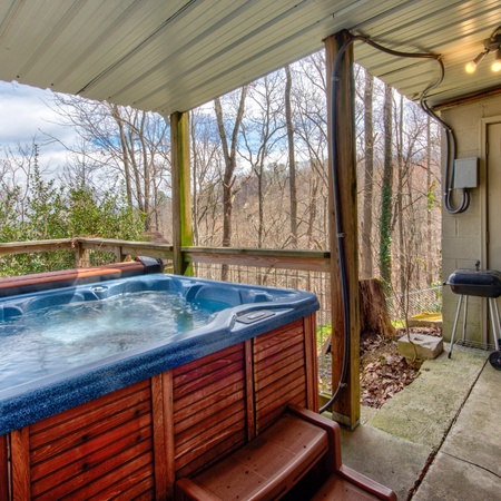 Bear View Chalet