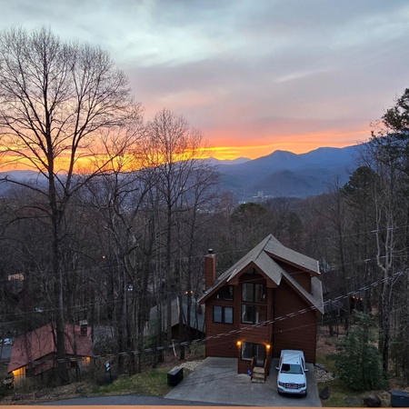 Honey Bear Lodge