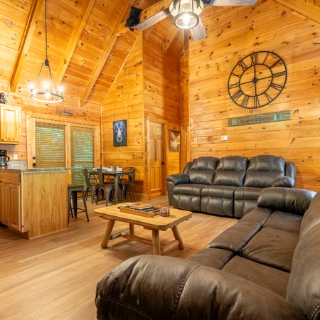Country Bear Cove