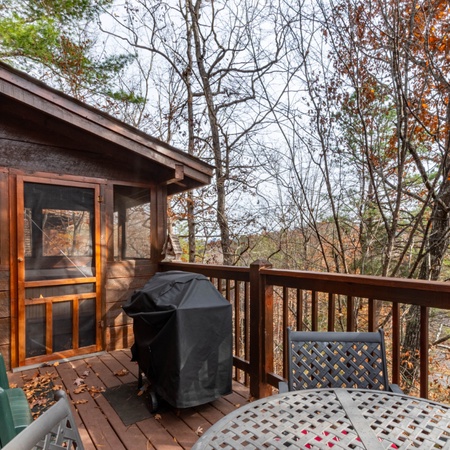 Pigeon Forge Perch