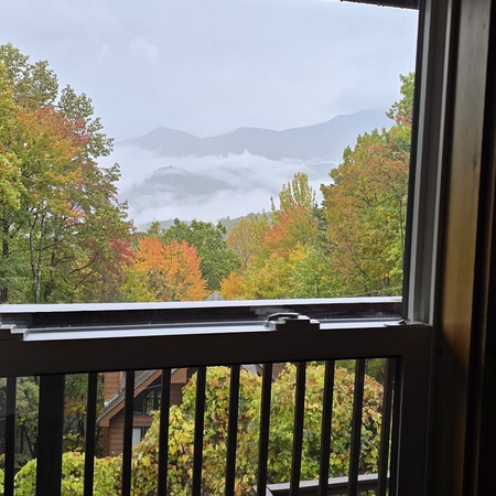 Honey Bear Lodge