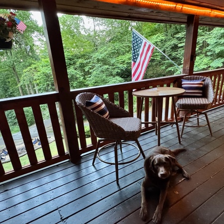 Timber Tails