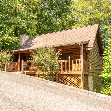 Country Bear Cove