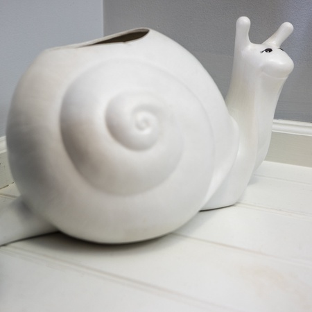 Snail's Pace