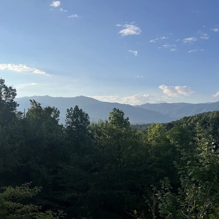 Mountain View Paradise