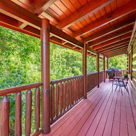 Bear Essentials Lodge