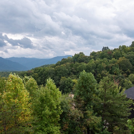 Mountain View Paradise