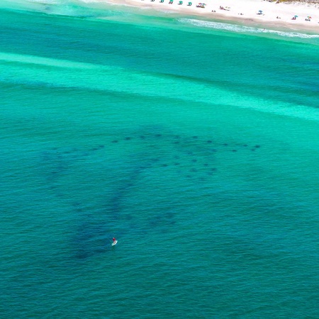 Ocean%27s+Edge+%E2%80%93+OE