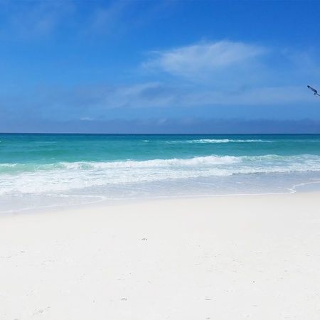 Ocean%27s+Edge+%E2%80%93+OE