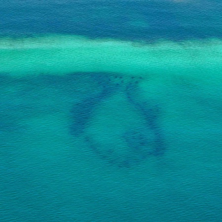 Ocean%27s+Edge+%E2%80%93+OE