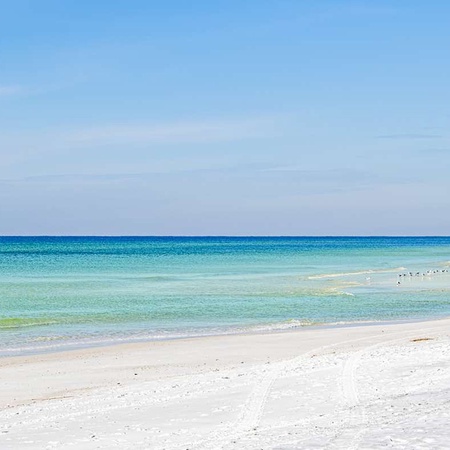 Ocean%27s+Edge+%E2%80%93+OE