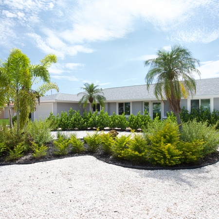 Palmview Paradise