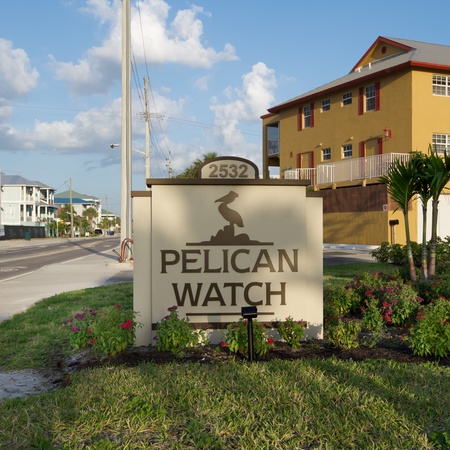 Pelican Watch #602
