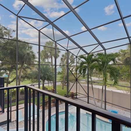 Sabal Palms