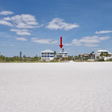 Lone Palm Retreat