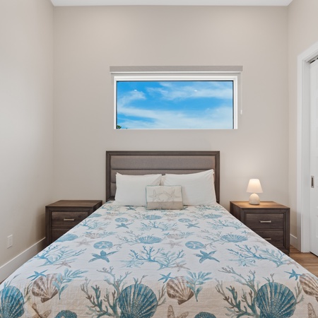 Blue Dolphin View