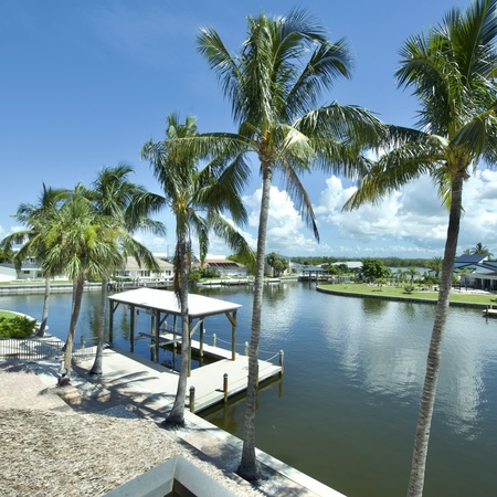 Palm Royale