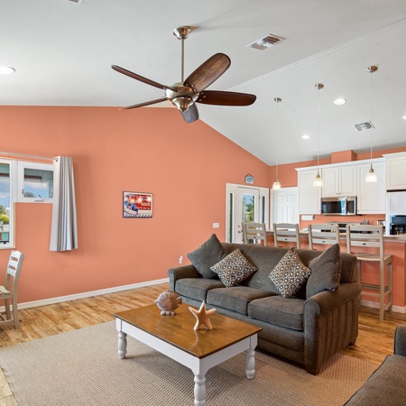 Sand Dollar on Miramar