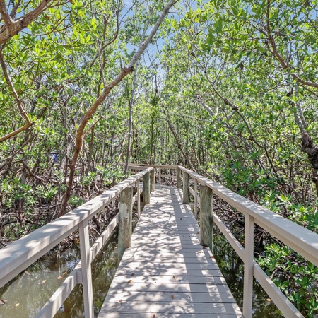 Flamingo Bayou