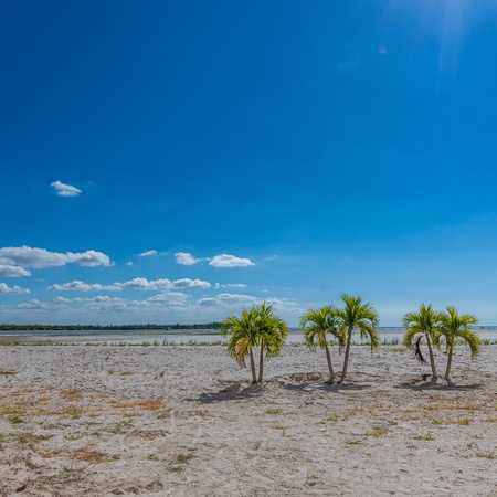 Carlos Pointe #126 - Endless Beach