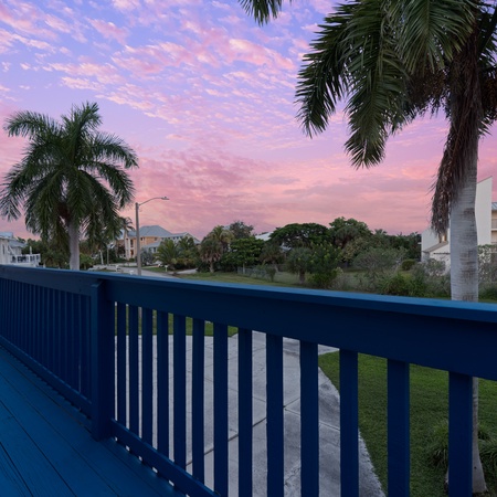 Flamingo Bayou