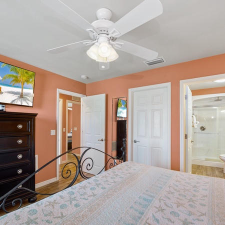 Sand Dollar on Miramar