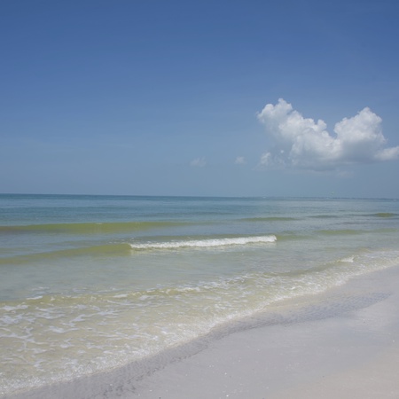 Ocean%27s+Edge+%E2%80%93+OE