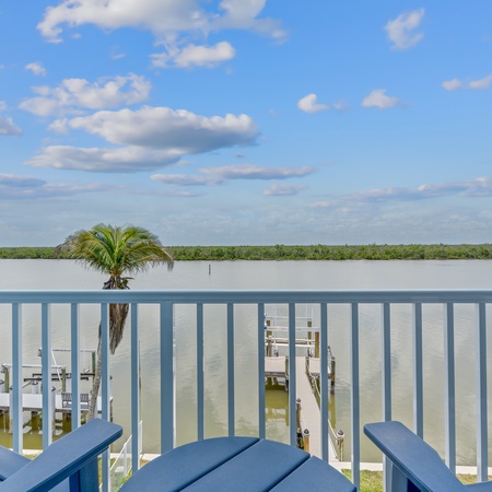 Blue Dolphin View
