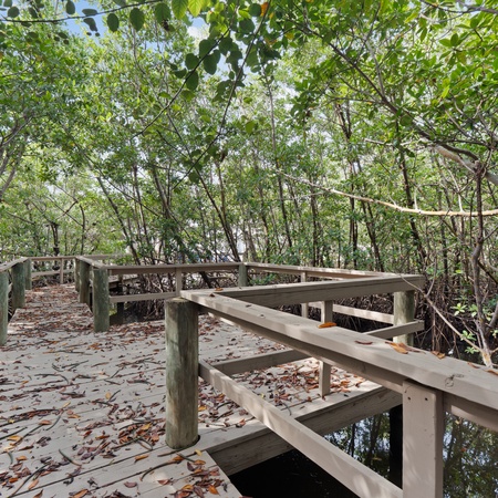 Flamingo Bayou