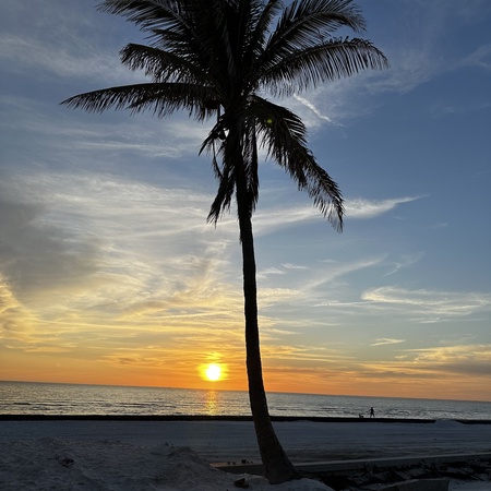 Sunset Paradise
