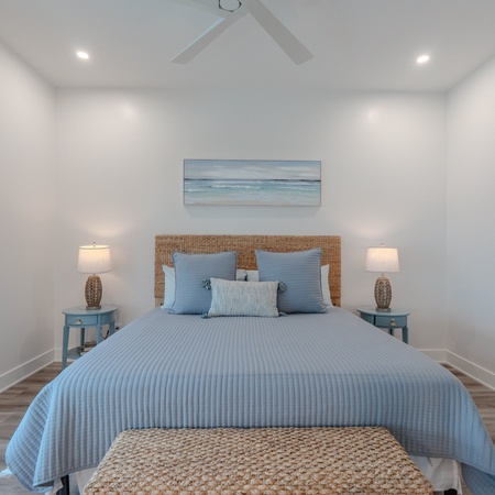 Tropical Shores