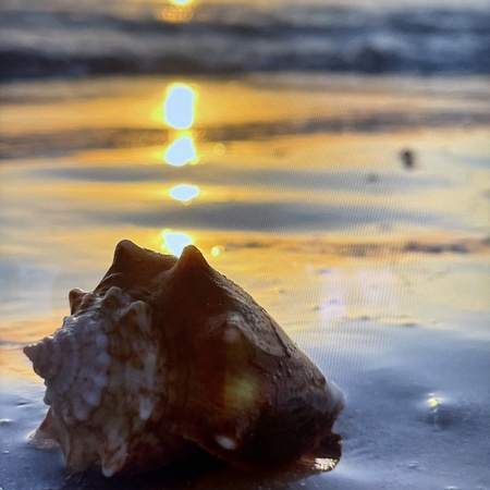 Sunset Paradise